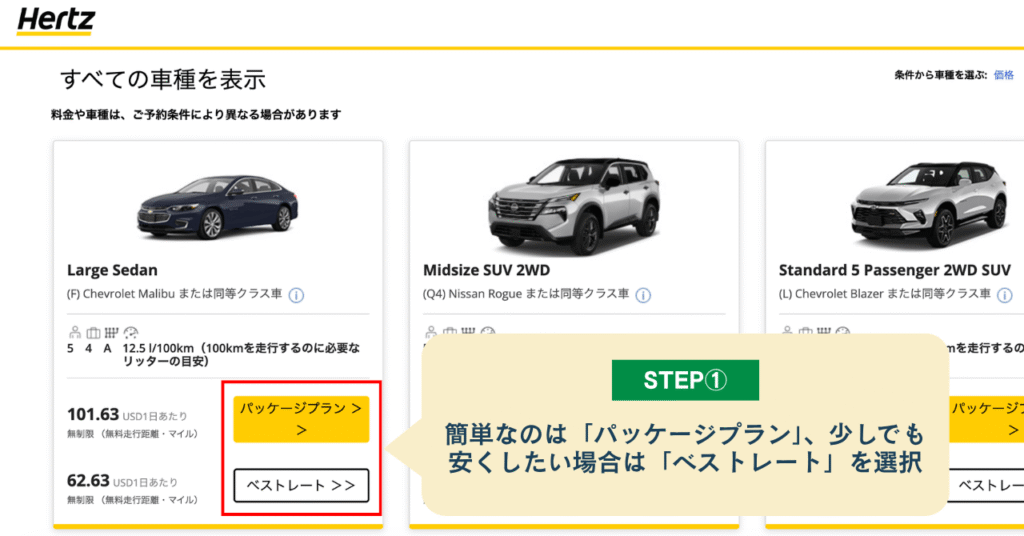 Hertz保険の選び方